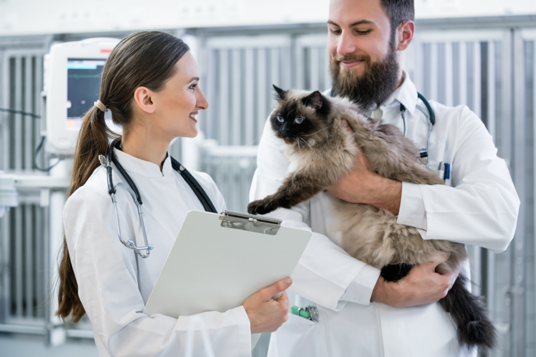 Veterinarians