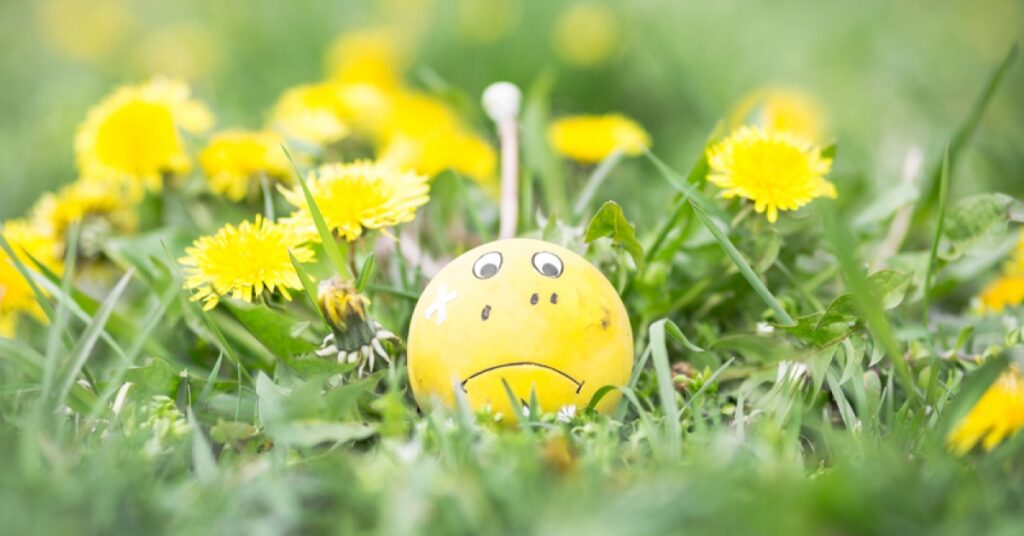 Spring is a common time for seasonal allergies to pop up | RxWiki