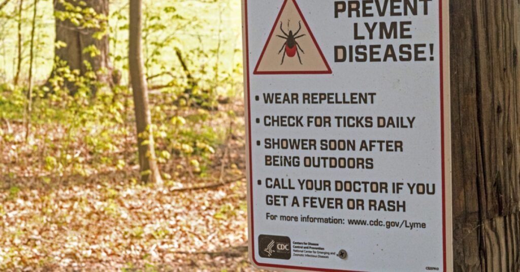 How to prevent the tick-borne illness Lyme disease | RxWiki