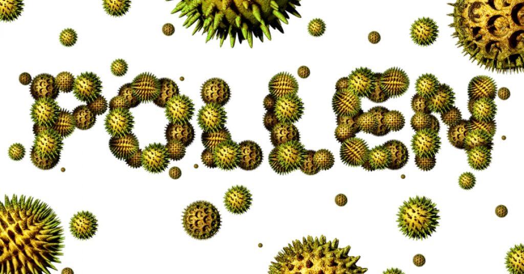 Seasonal allergies affect millions of Americans, but there are ways to prepare | RxWiki